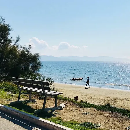 Arzilli * Follonica