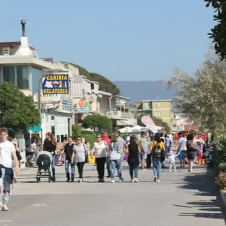 Arzilli *