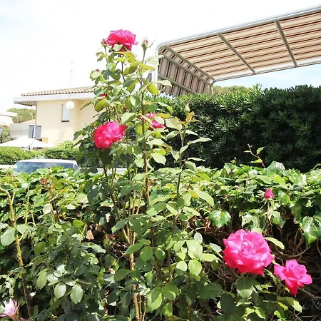 Arzilli Follonica