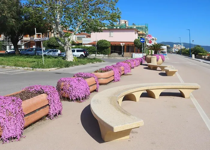 Arzilli Follonica