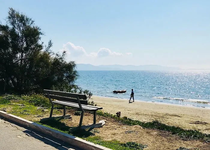 Arzilli * Follonica