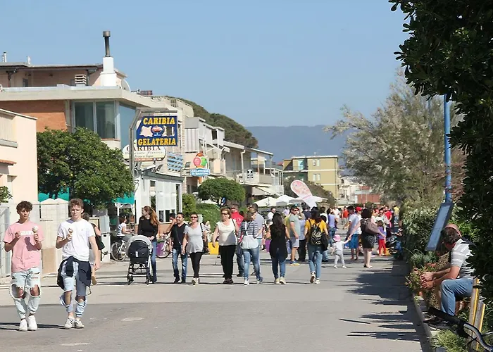 Arzilli *