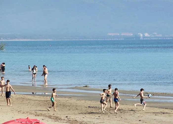 Arzilli * Follonica