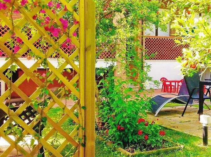 Arzilli Apartamento