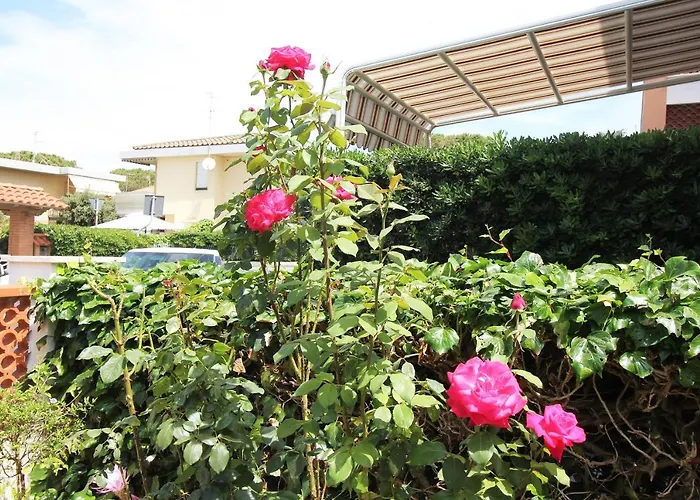 Arzilli Follonica